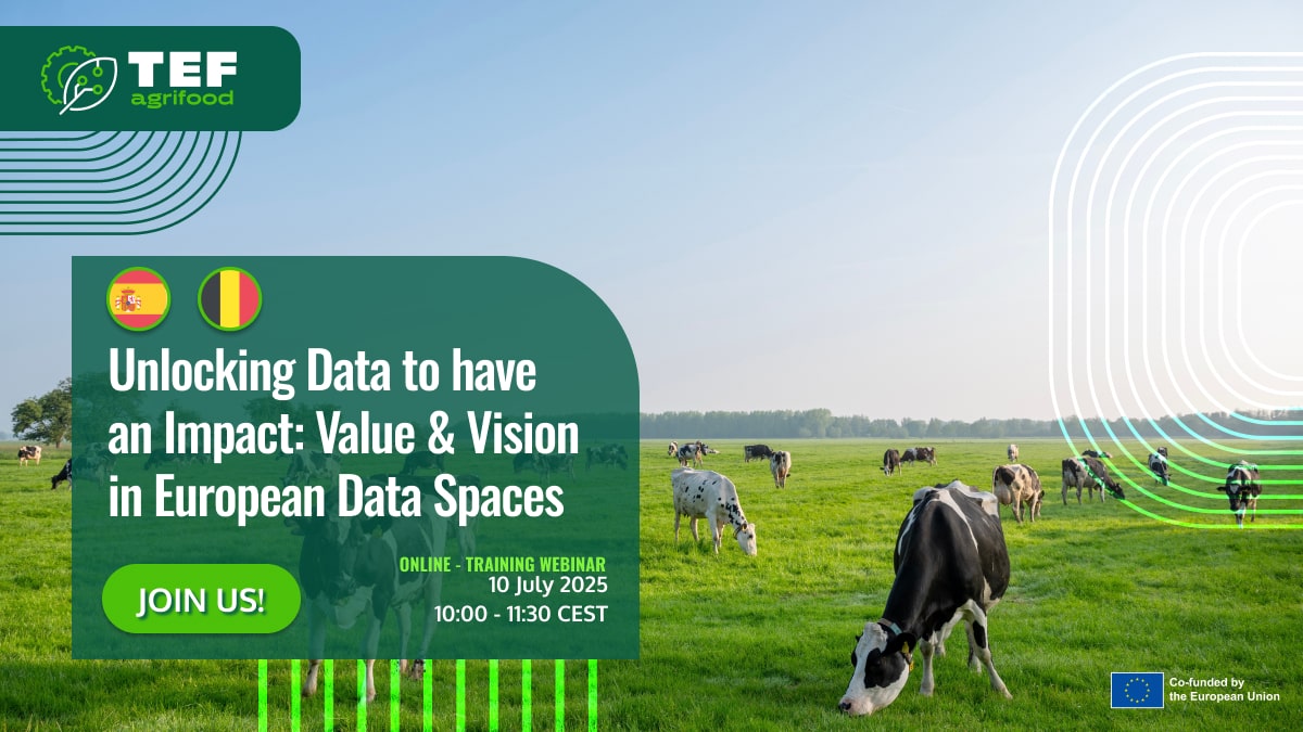 Unlocking Data to have an Impact: Value & Vision in European Data Spaces