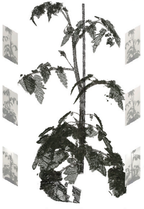 S00390