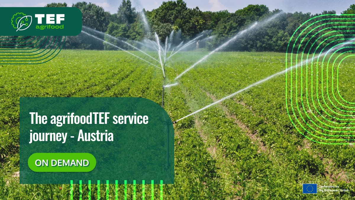 The agrifoodTEF service journey - Austria