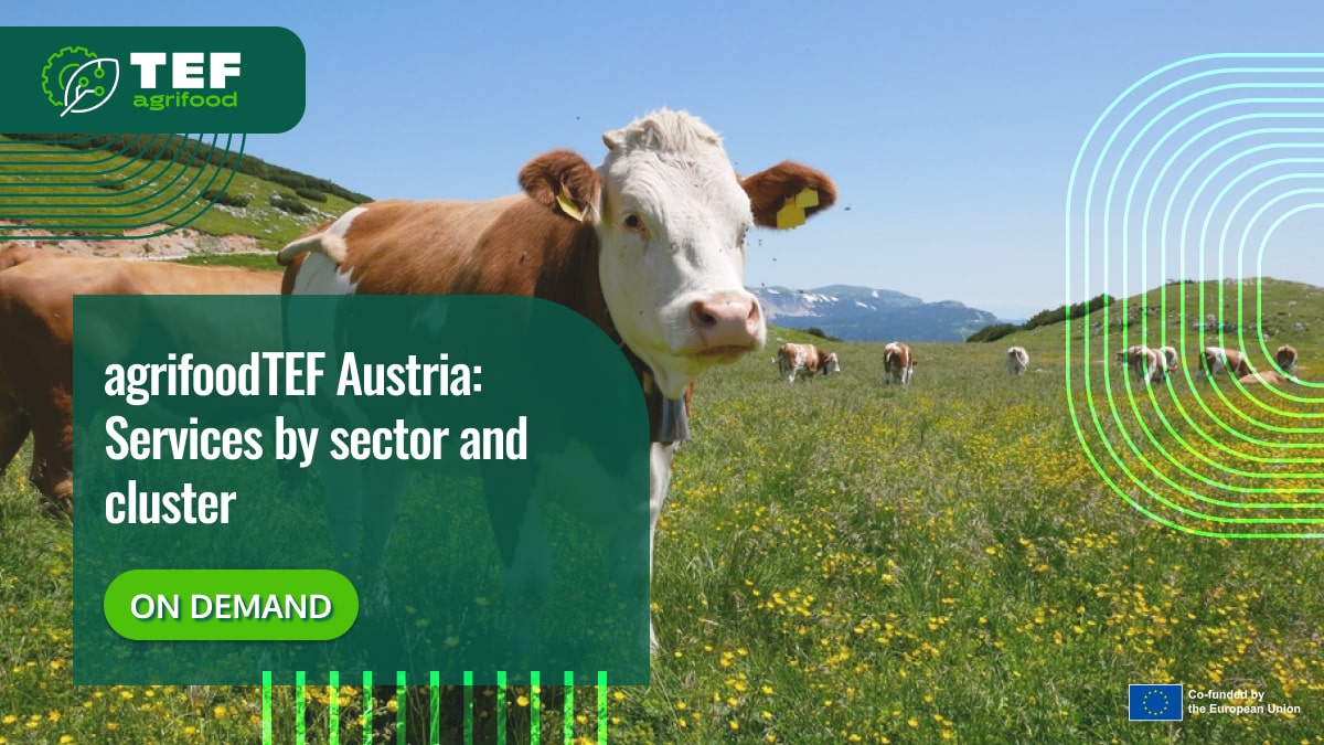 agrifoodTEF Austria: Services by sector and cluster