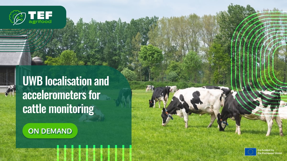 UWB localisation and accelerometers for cattle monitoring