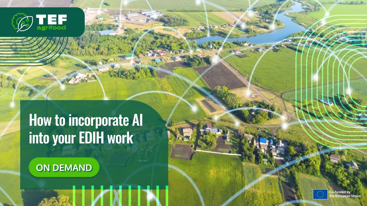 How to incorporate AI into your EDIH work