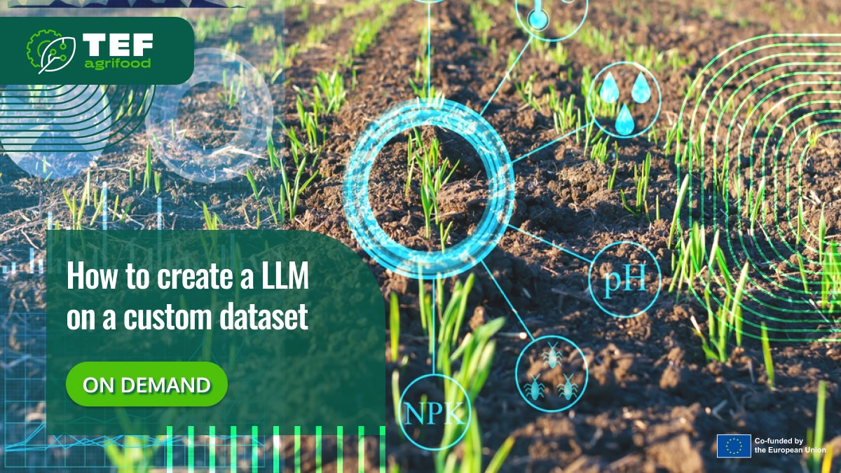 How to create a LLM on a custom dataset