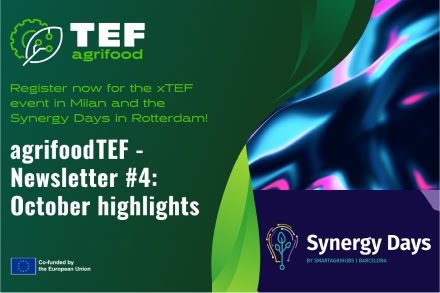 Newsletter banner for October 2025 issue