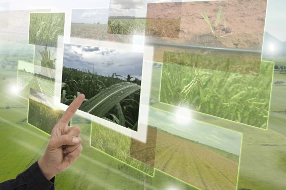 Agronomic dataset generation through optical sensors