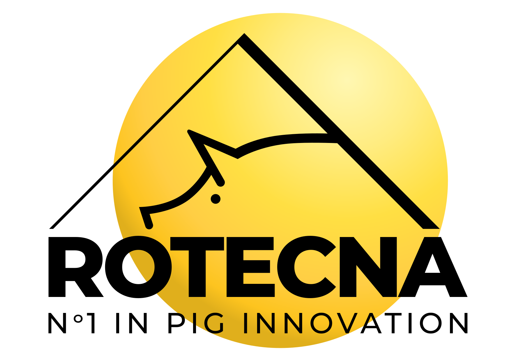 ROTECNA SA logo