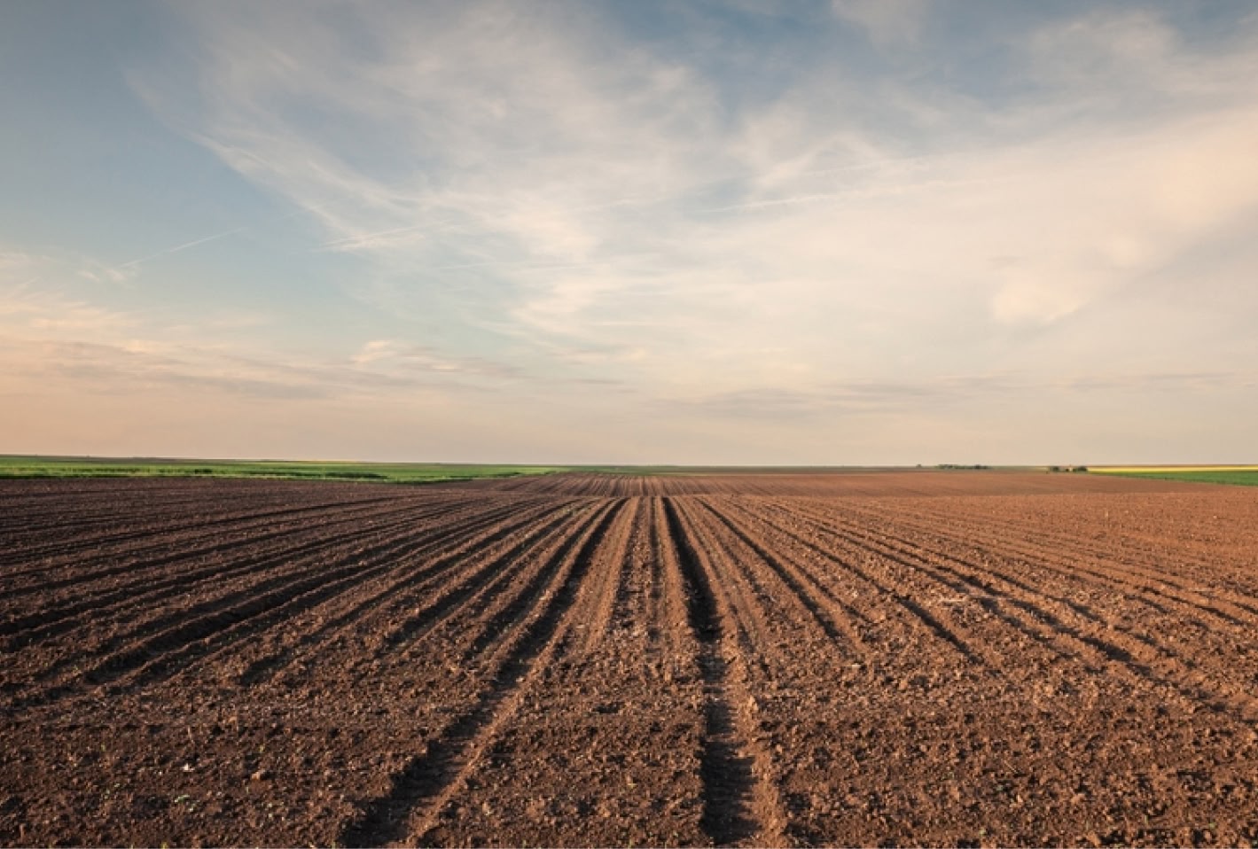 Selective blur on furrows on a Agricultural landscape near a farm