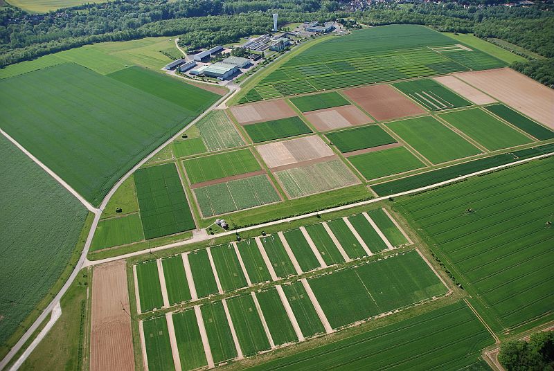Boigneville site