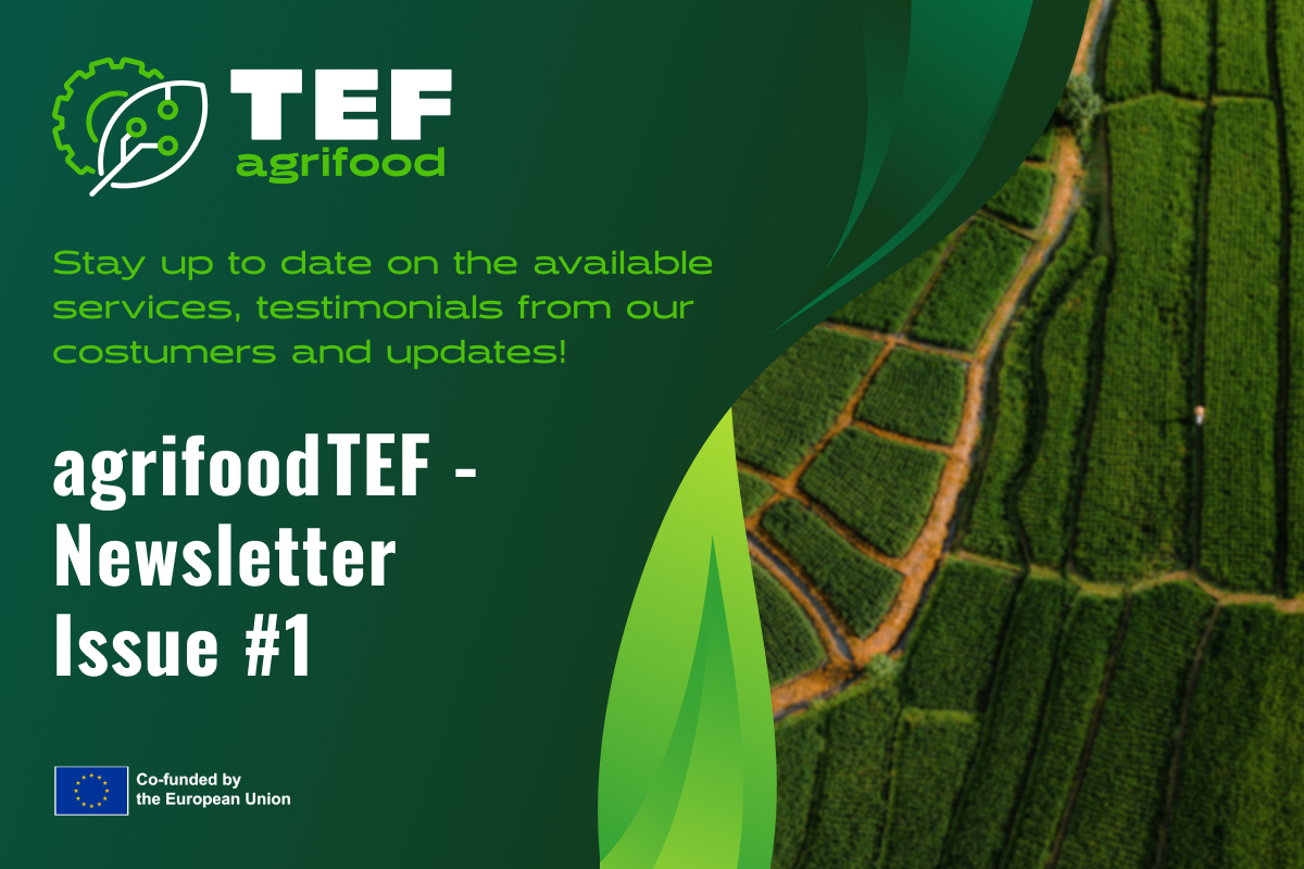 Newsletter banner